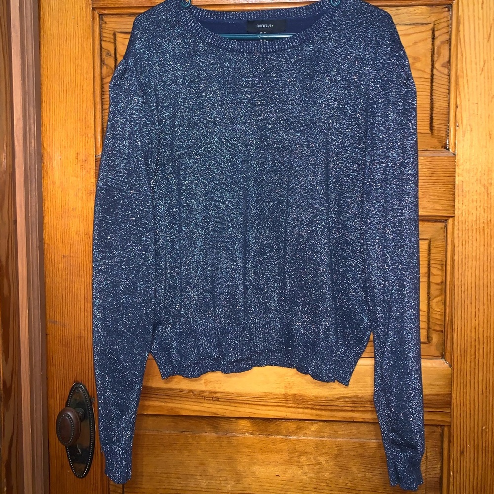 Forever 21 Metallic Knit Sweater 3X